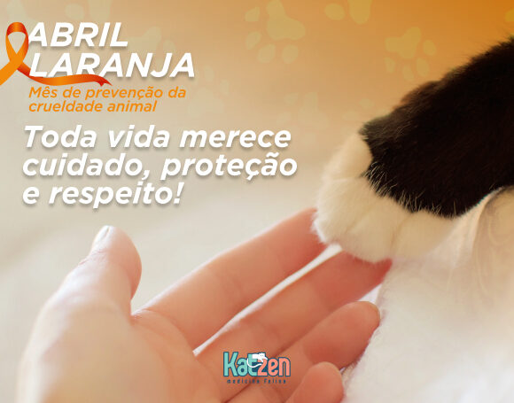 Abril Laranja. Mês de prevenção da crueldade animal