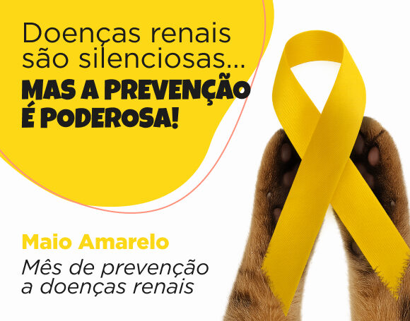 doenças renais em gatos