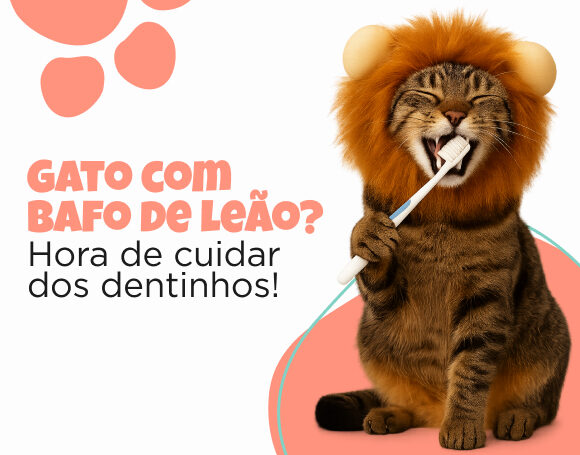 gato com mau hálito