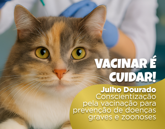 vacinação em gatos