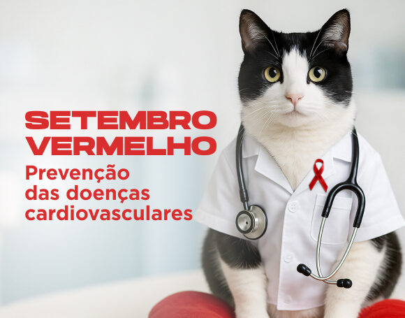 SETEMBRO VERMELHO: Prevenção das doenças cardiovasculares