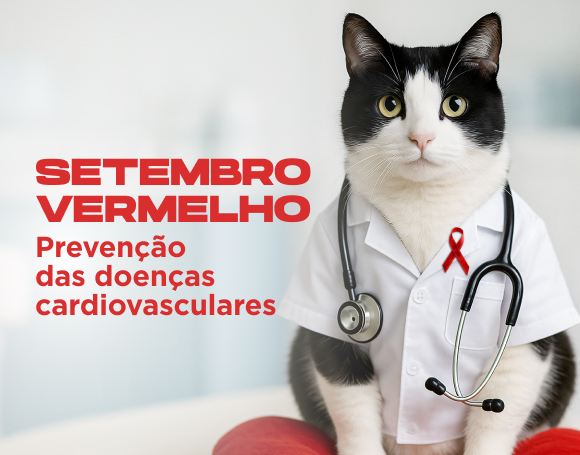 SETEMBRO VERMELHO: Prevenção das doenças cardiovasculares