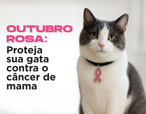 OUTUBRO ROSA: Proteja sua gata contra o câncer de mama