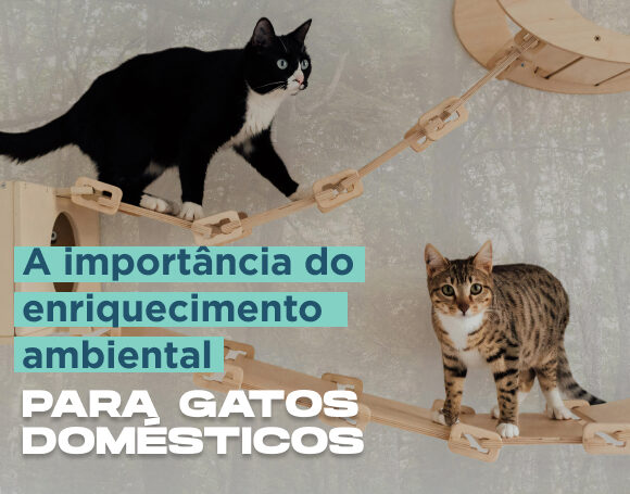 Enriquecimento Ambiental