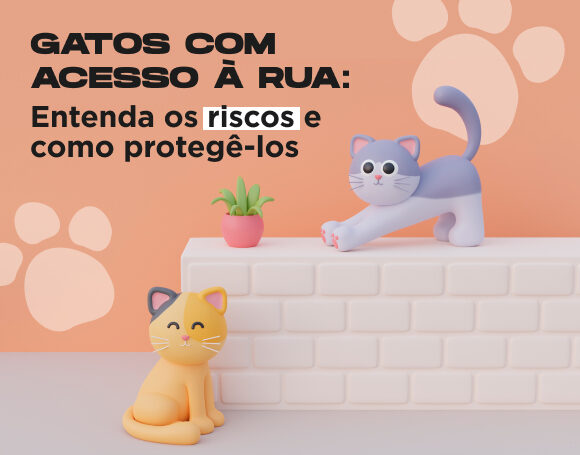 Gatos com acesso à rua: entenda os riscos e como protegê-los