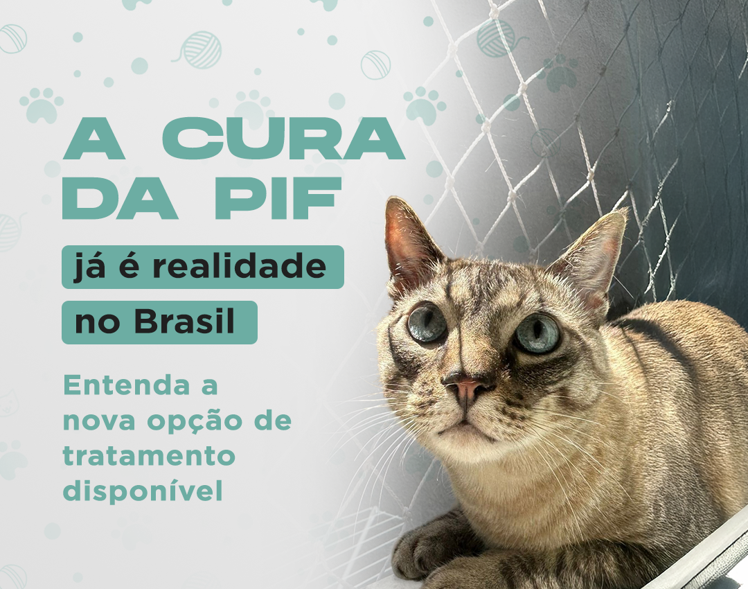 CURA DA PIF