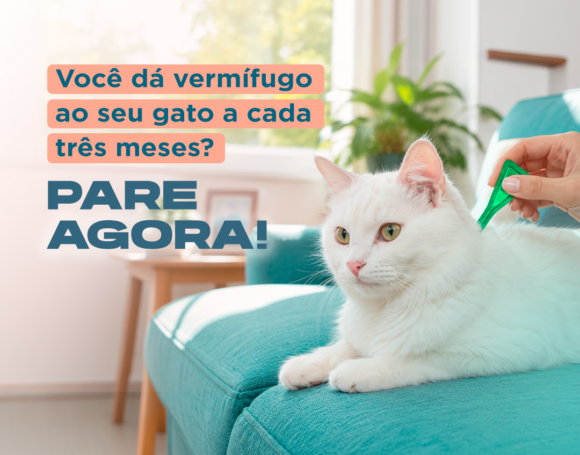 Vermífugo para o seu gato